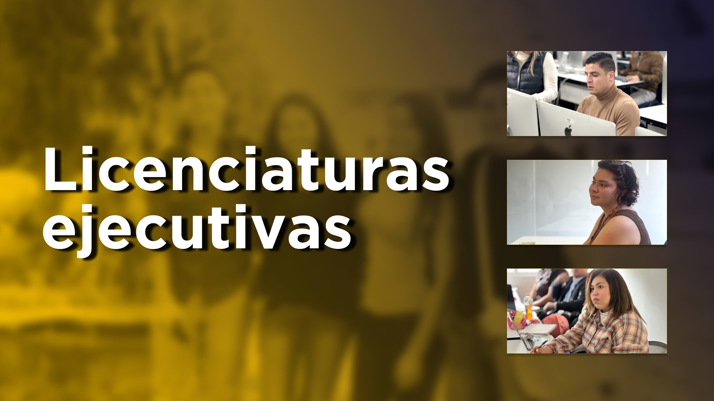 Licenciaturas Ejecutivas